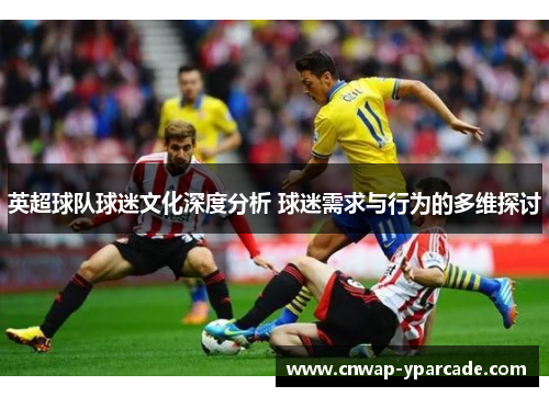 英超球队球迷文化深度分析 球迷需求与行为的多维探讨