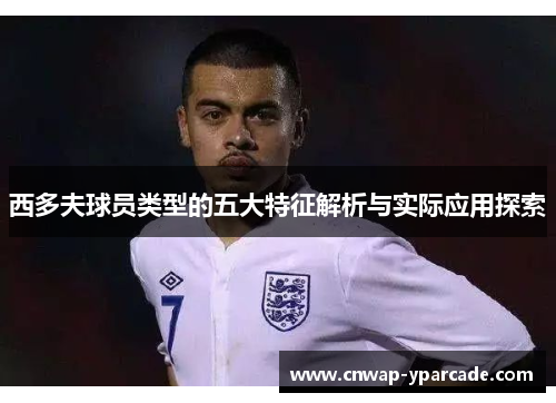 西多夫球员类型的五大特征解析与实际应用探索