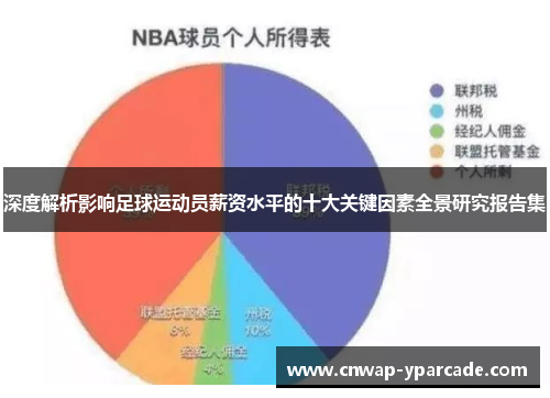 深度解析影响足球运动员薪资水平的十大关键因素全景研究报告集 深度解析影响足球运动员薪资水平的十大关键因素全景研究报告集