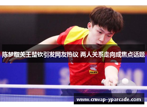 陈梦取关王楚钦引发网友热议 两人关系走向成焦点话题