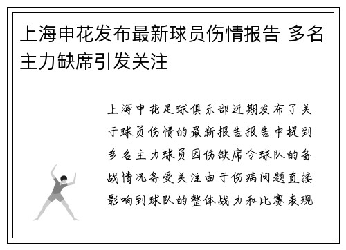 上海申花发布最新球员伤情报告 多名主力缺席引发关注
